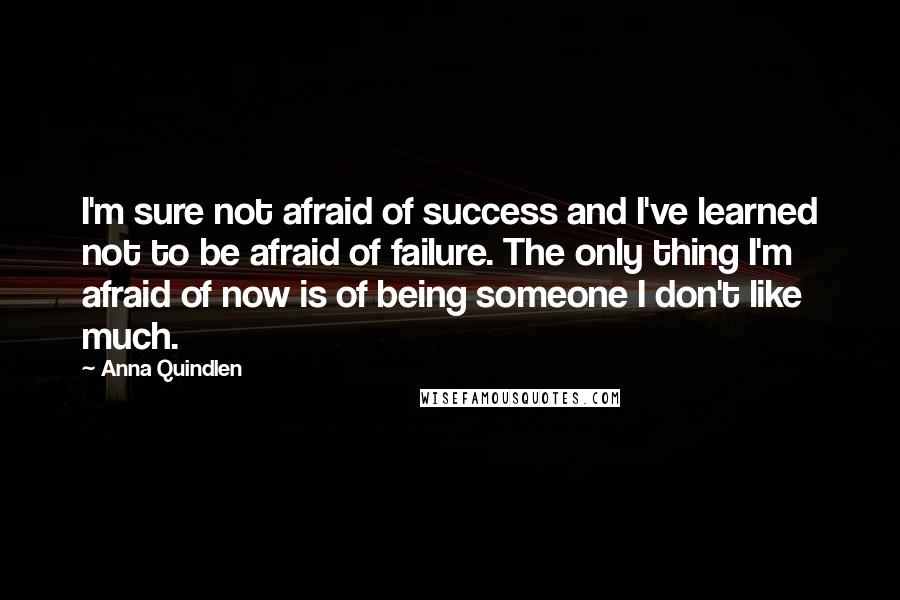 Anna Quindlen Quotes: I'm sure not afraid of success and I've learned not to be afraid of failure. The only thing I'm afraid of now is of being someone I don't like much.