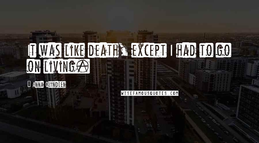 Anna Quindlen Quotes: It was like death, except I had to go on living.