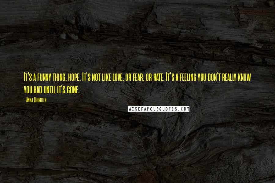 Anna Quindlen Quotes: It's a funny thing, hope. It's not like love, or fear, or hate. It's a feeling you don't really know you had until it's gone.