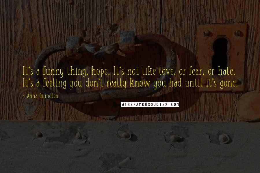 Anna Quindlen Quotes: It's a funny thing, hope. It's not like love, or fear, or hate. It's a feeling you don't really know you had until it's gone.