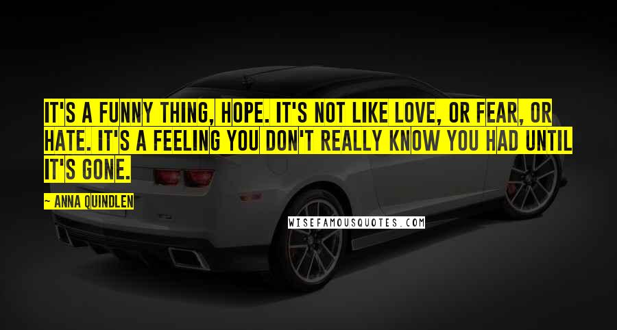 Anna Quindlen Quotes: It's a funny thing, hope. It's not like love, or fear, or hate. It's a feeling you don't really know you had until it's gone.