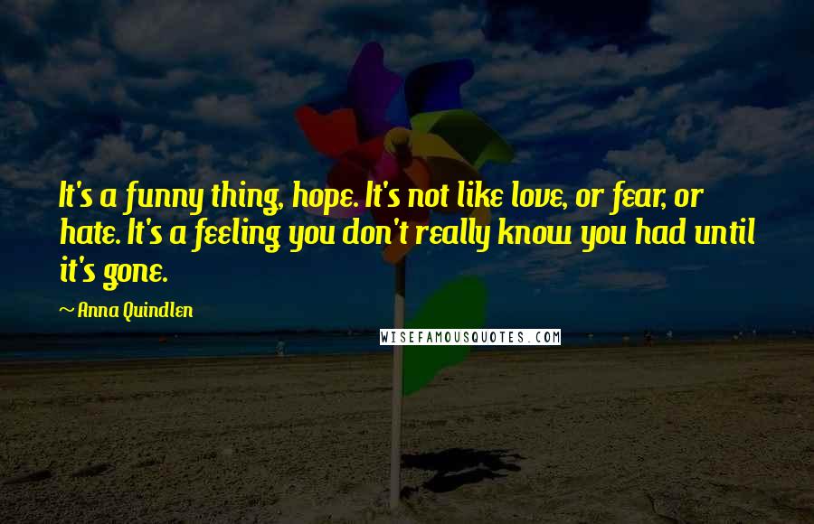 Anna Quindlen Quotes: It's a funny thing, hope. It's not like love, or fear, or hate. It's a feeling you don't really know you had until it's gone.