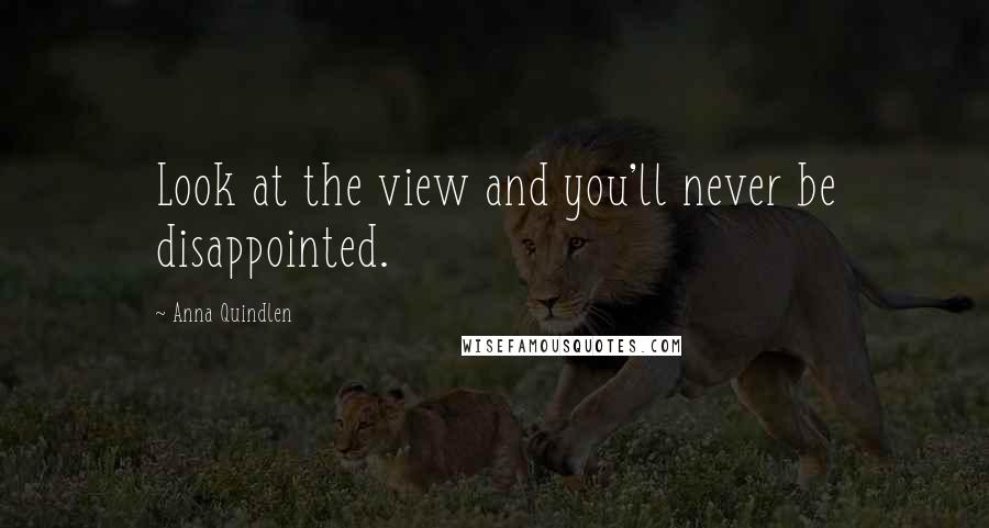 Anna Quindlen Quotes: Look at the view and you'll never be disappointed.