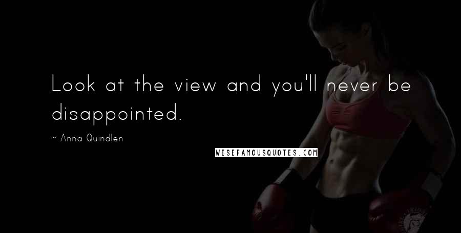 Anna Quindlen Quotes: Look at the view and you'll never be disappointed.