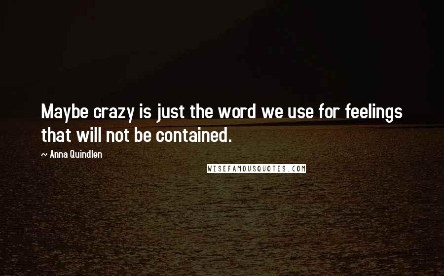 Anna Quindlen Quotes: Maybe crazy is just the word we use for feelings that will not be contained.