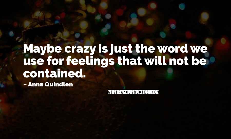 Anna Quindlen Quotes: Maybe crazy is just the word we use for feelings that will not be contained.