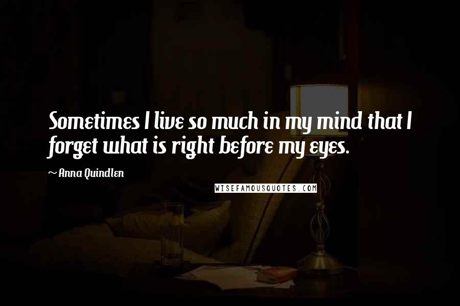 Anna Quindlen Quotes: Sometimes I live so much in my mind that I forget what is right before my eyes.