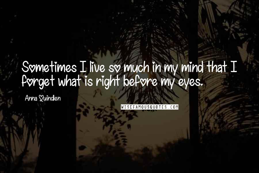 Anna Quindlen Quotes: Sometimes I live so much in my mind that I forget what is right before my eyes.