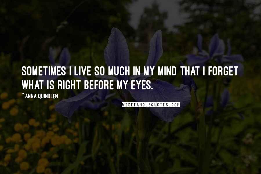 Anna Quindlen Quotes: Sometimes I live so much in my mind that I forget what is right before my eyes.