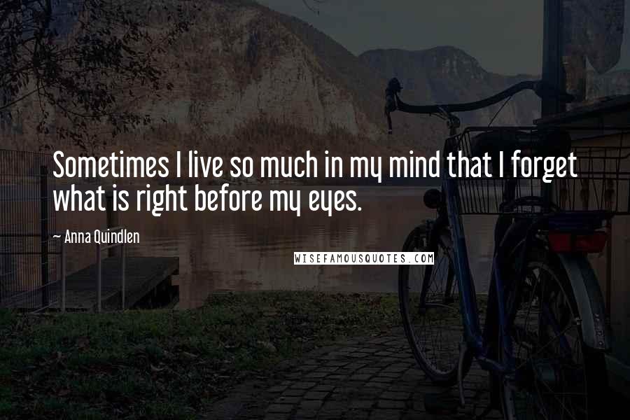 Anna Quindlen Quotes: Sometimes I live so much in my mind that I forget what is right before my eyes.