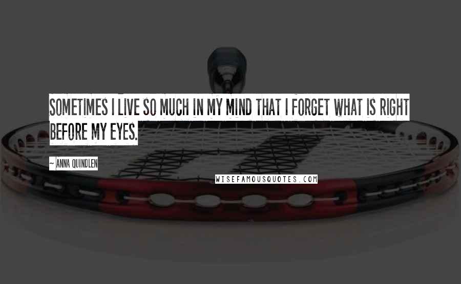 Anna Quindlen Quotes: Sometimes I live so much in my mind that I forget what is right before my eyes.