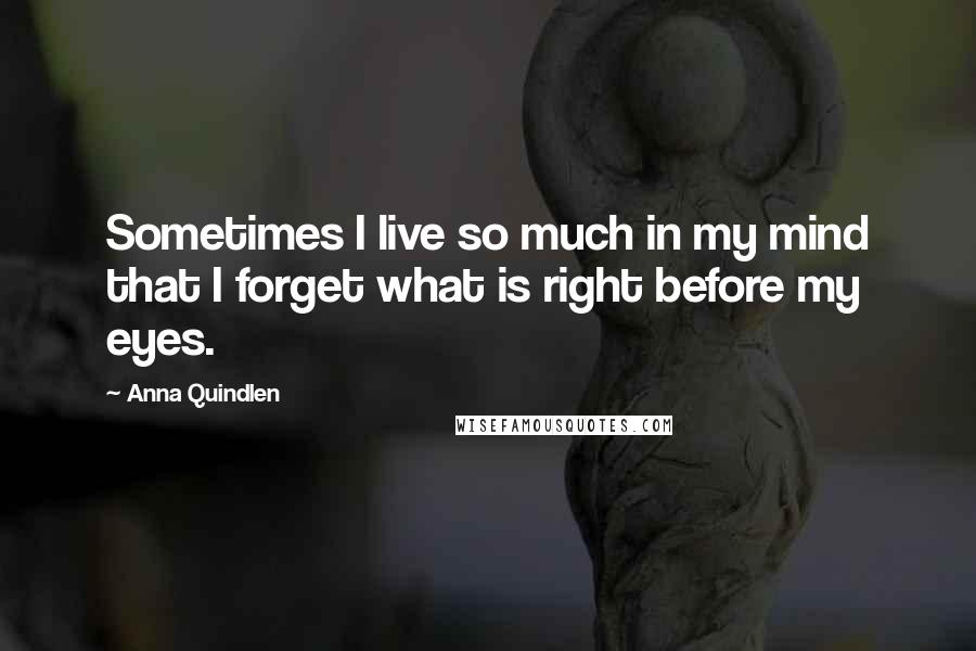 Anna Quindlen Quotes: Sometimes I live so much in my mind that I forget what is right before my eyes.