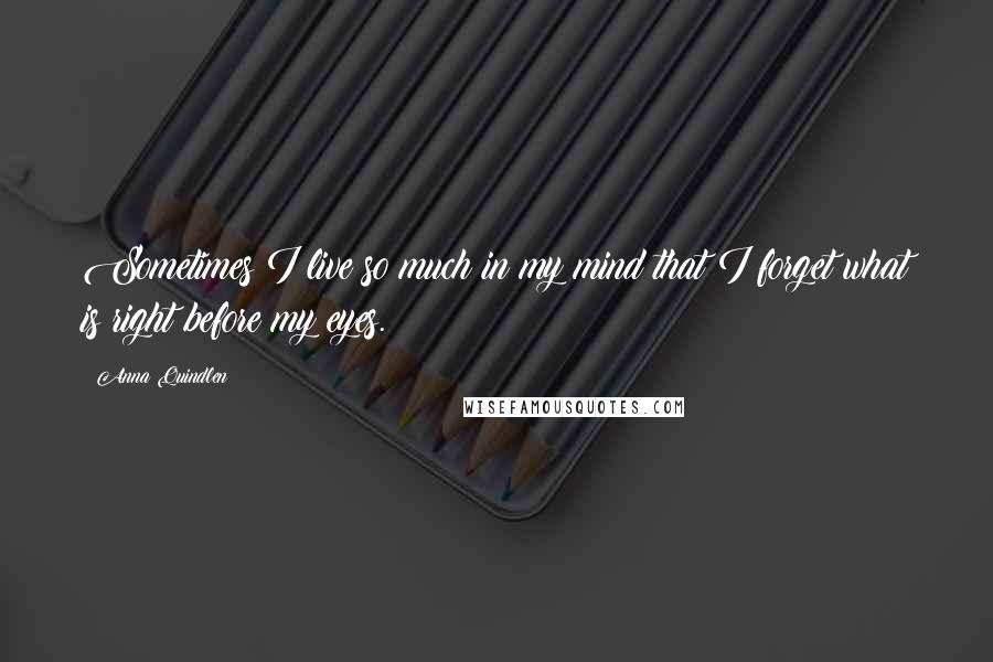 Anna Quindlen Quotes: Sometimes I live so much in my mind that I forget what is right before my eyes.