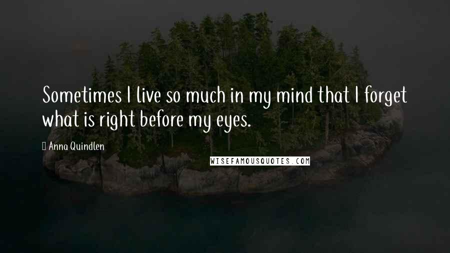 Anna Quindlen Quotes: Sometimes I live so much in my mind that I forget what is right before my eyes.