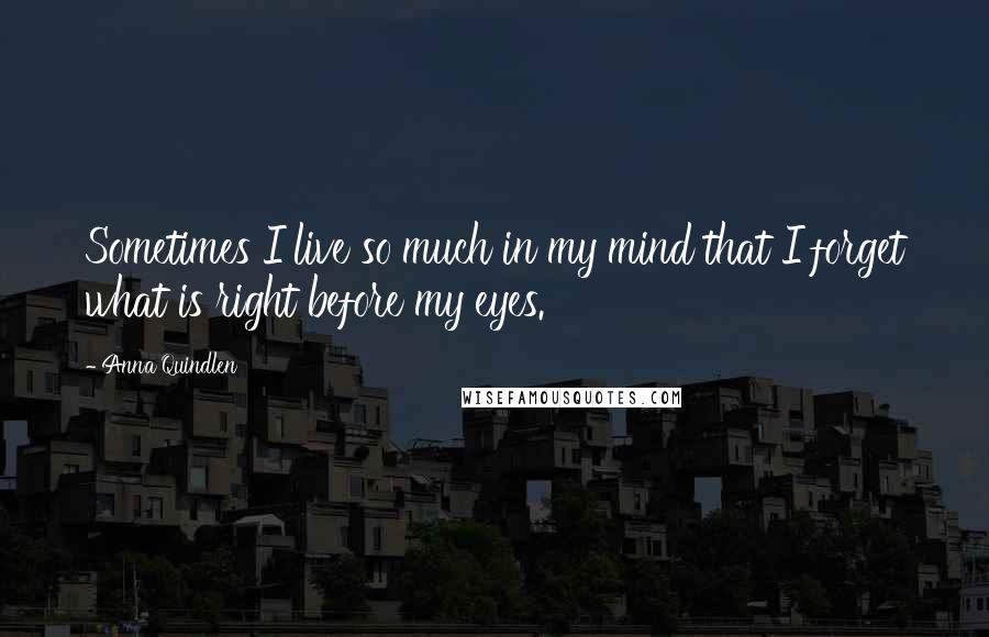 Anna Quindlen Quotes: Sometimes I live so much in my mind that I forget what is right before my eyes.