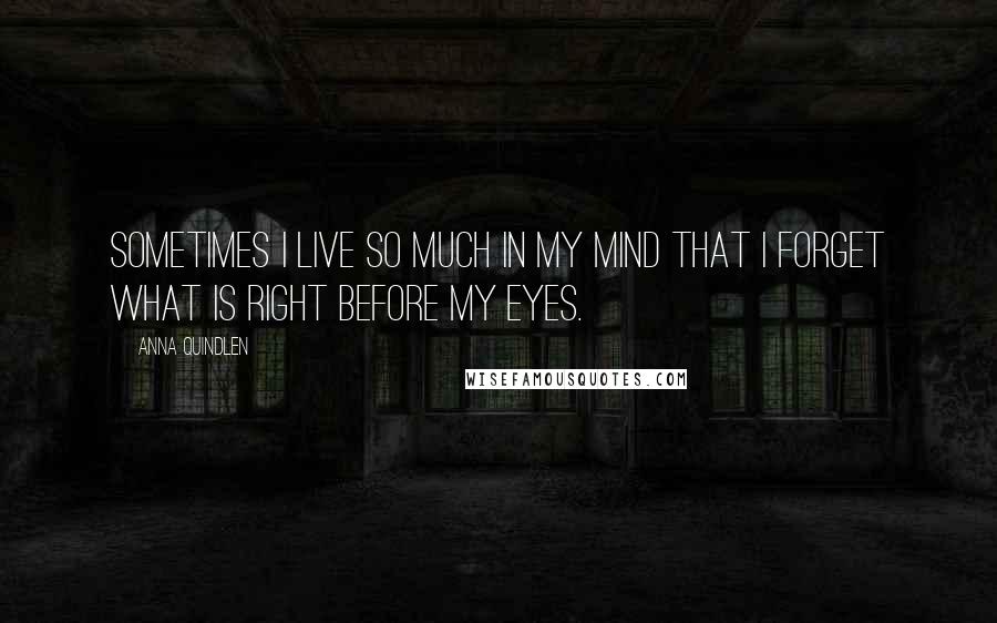 Anna Quindlen Quotes: Sometimes I live so much in my mind that I forget what is right before my eyes.