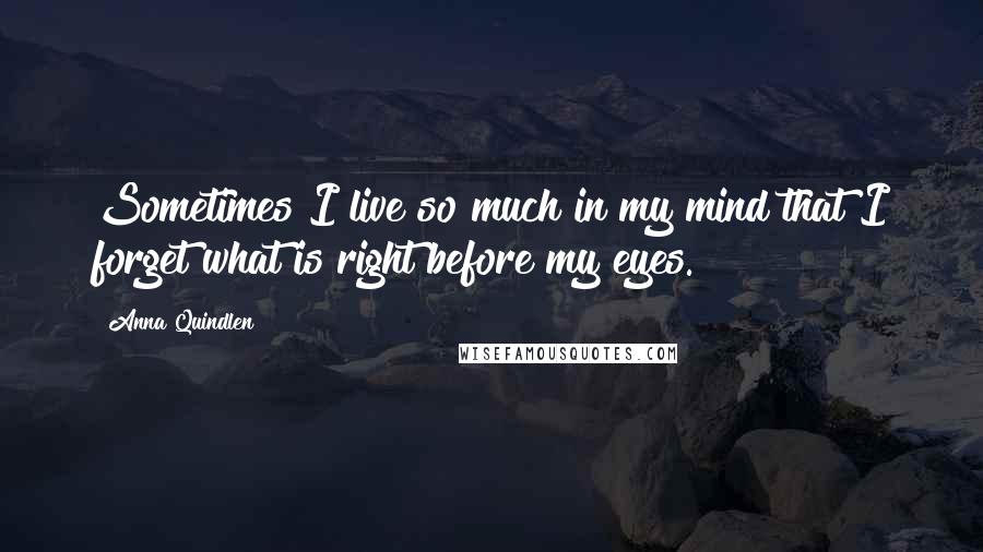 Anna Quindlen Quotes: Sometimes I live so much in my mind that I forget what is right before my eyes.