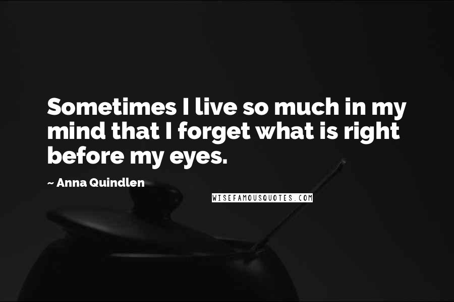 Anna Quindlen Quotes: Sometimes I live so much in my mind that I forget what is right before my eyes.