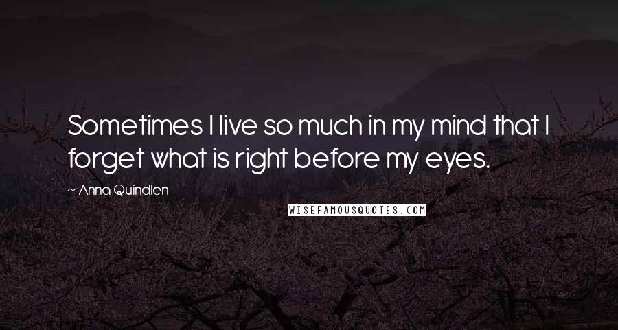 Anna Quindlen Quotes: Sometimes I live so much in my mind that I forget what is right before my eyes.