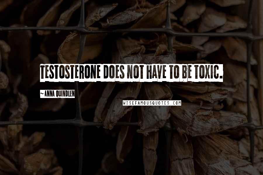 Anna Quindlen Quotes: Testosterone does not have to be toxic.