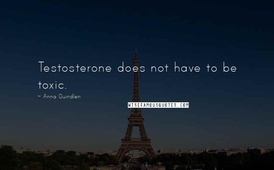 Anna Quindlen Quotes: Testosterone does not have to be toxic.