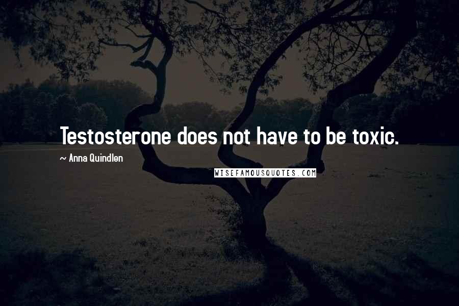 Anna Quindlen Quotes: Testosterone does not have to be toxic.