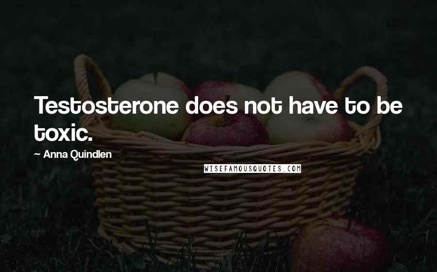 Anna Quindlen Quotes: Testosterone does not have to be toxic.