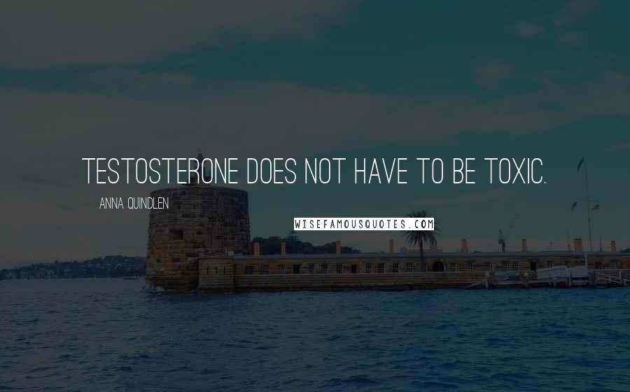 Anna Quindlen Quotes: Testosterone does not have to be toxic.