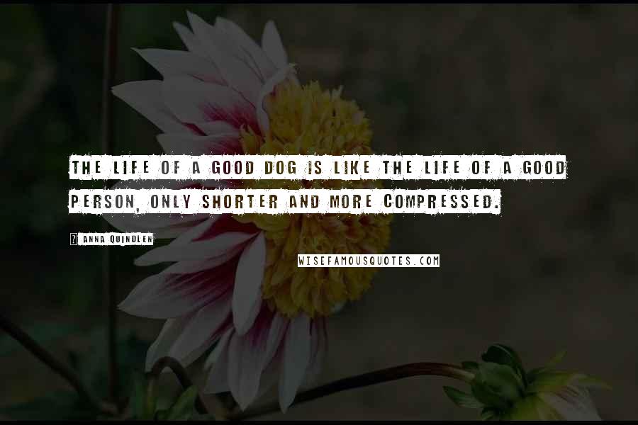 Anna Quindlen Quotes: The life of a good dog is like the life of a good person, only shorter and more compressed.