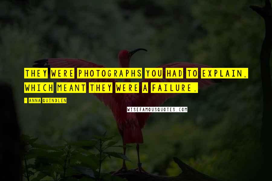 Anna Quindlen Quotes: They were photographs you had to explain, which meant they were a failure.