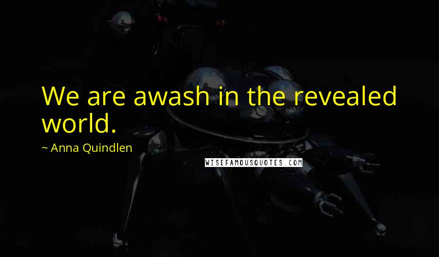 Anna Quindlen Quotes: We are awash in the revealed world.