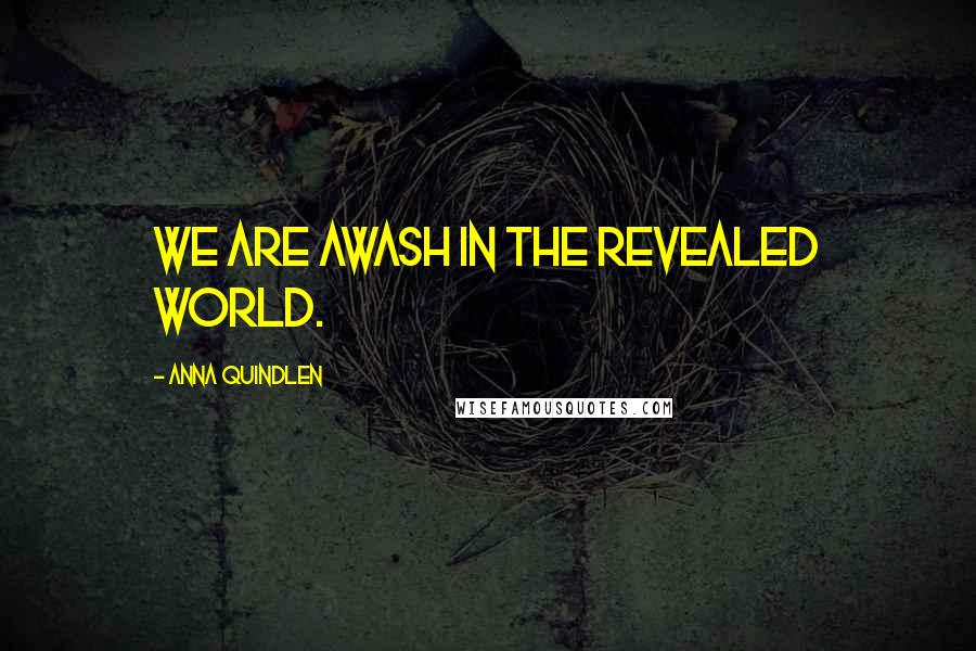 Anna Quindlen Quotes: We are awash in the revealed world.