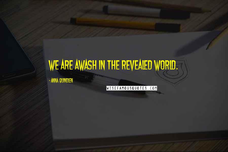 Anna Quindlen Quotes: We are awash in the revealed world.