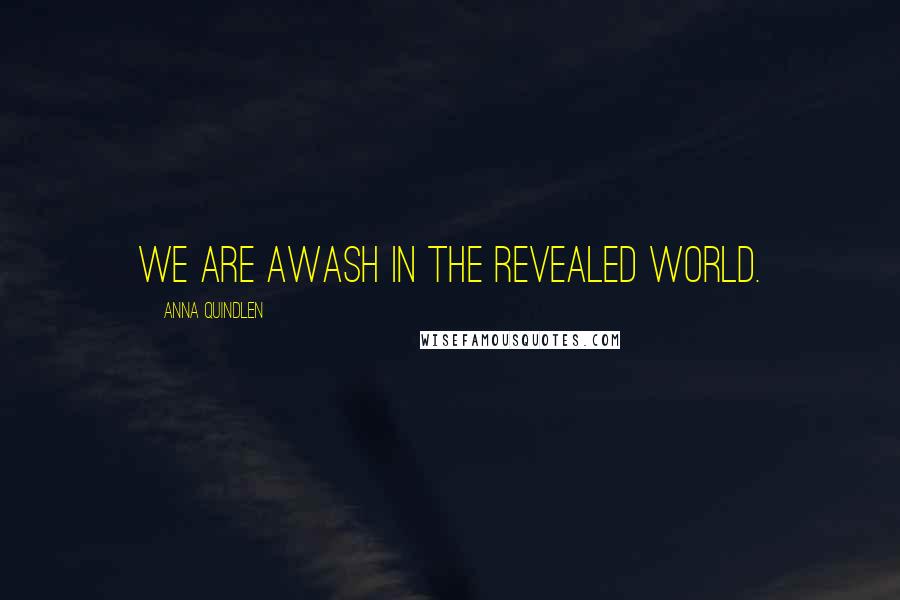Anna Quindlen Quotes: We are awash in the revealed world.