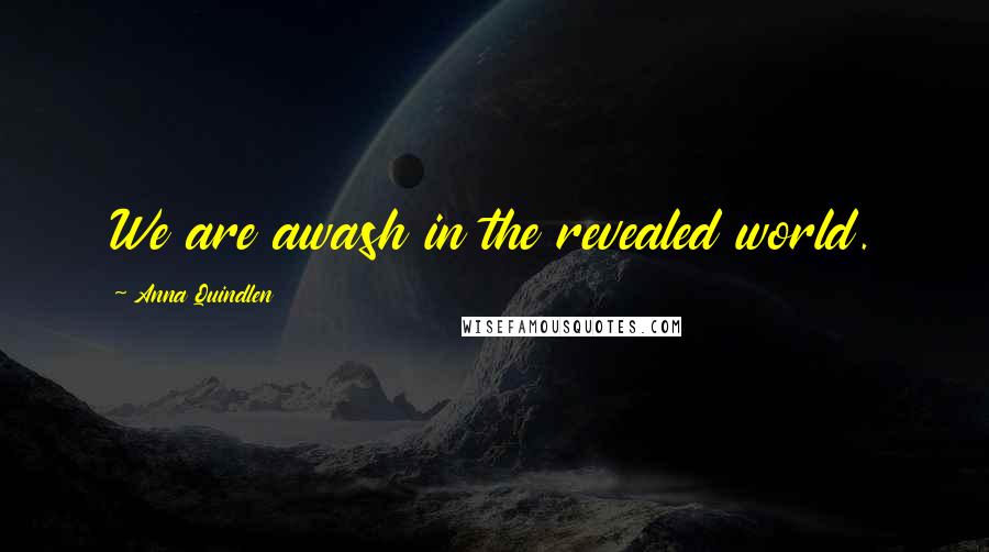 Anna Quindlen Quotes: We are awash in the revealed world.