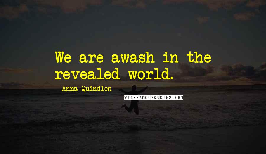 Anna Quindlen Quotes: We are awash in the revealed world.