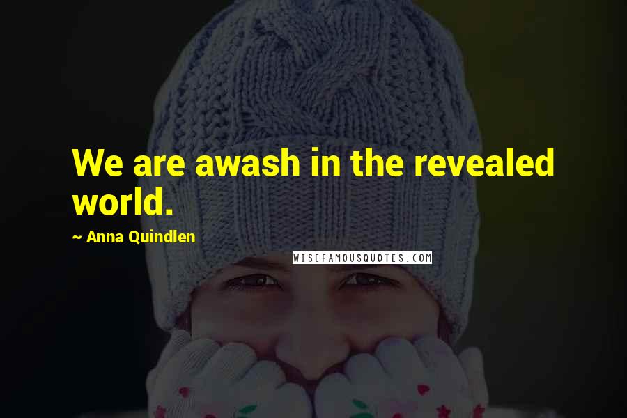 Anna Quindlen Quotes: We are awash in the revealed world.