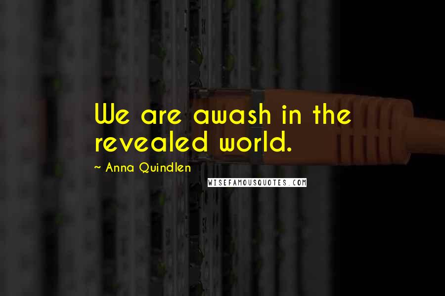 Anna Quindlen Quotes: We are awash in the revealed world.