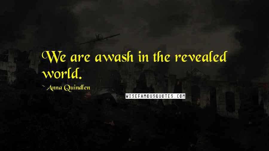 Anna Quindlen Quotes: We are awash in the revealed world.