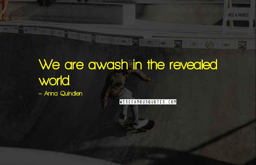 Anna Quindlen Quotes: We are awash in the revealed world.