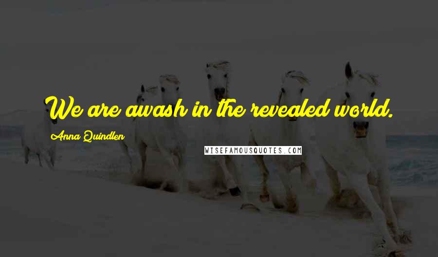 Anna Quindlen Quotes: We are awash in the revealed world.