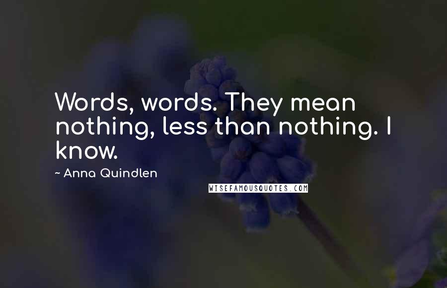 Anna Quindlen Quotes: Words, words. They mean nothing, less than nothing. I know.