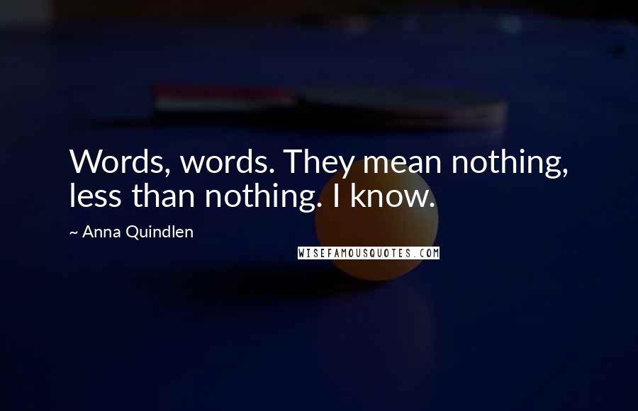 Anna Quindlen Quotes: Words, words. They mean nothing, less than nothing. I know.