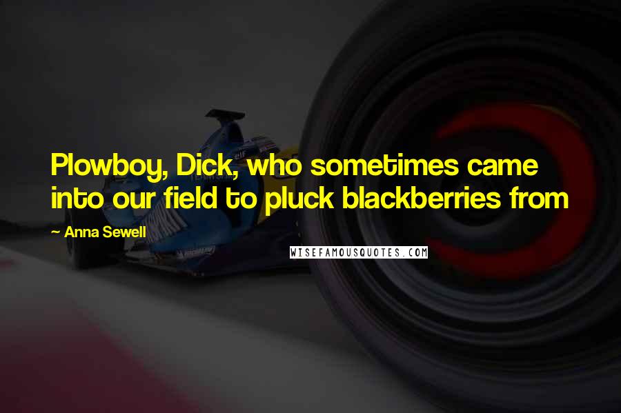 Anna Sewell Quotes: Plowboy, Dick, who sometimes came into our field to pluck blackberries from