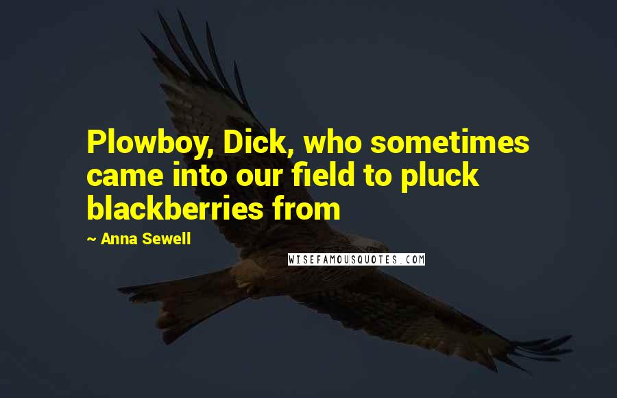Anna Sewell Quotes: Plowboy, Dick, who sometimes came into our field to pluck blackberries from