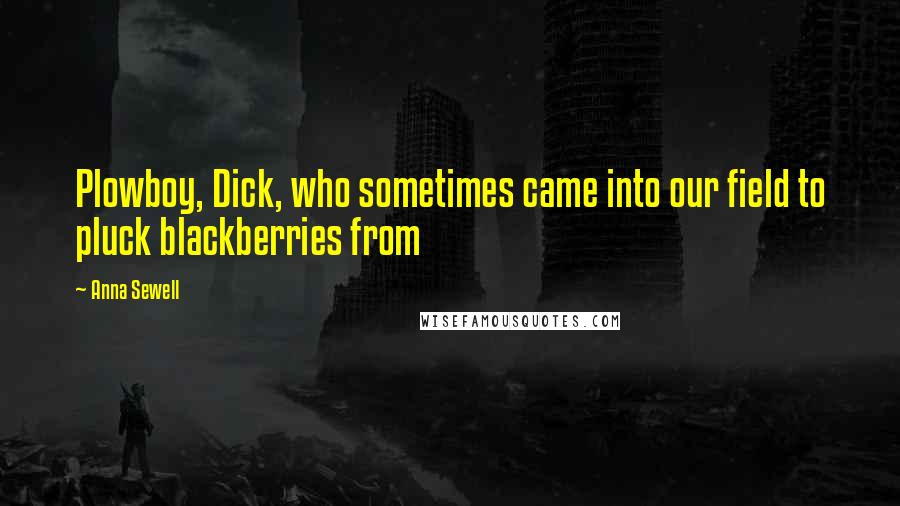 Anna Sewell Quotes: Plowboy, Dick, who sometimes came into our field to pluck blackberries from