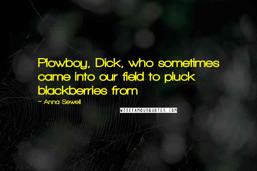 Anna Sewell Quotes: Plowboy, Dick, who sometimes came into our field to pluck blackberries from