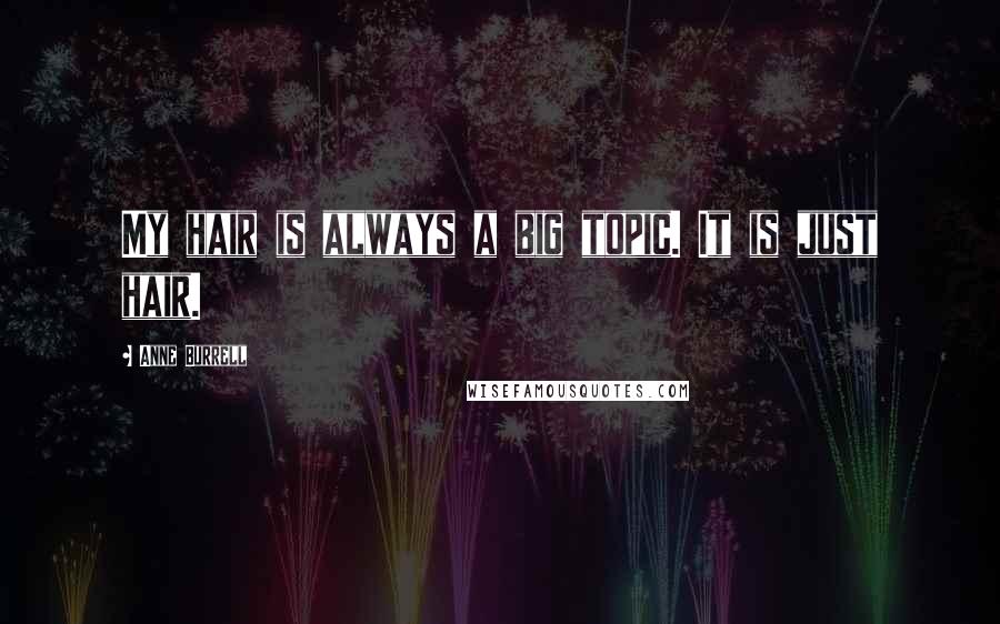 Anne Burrell Quotes: My hair is always a big topic. It is just hair.