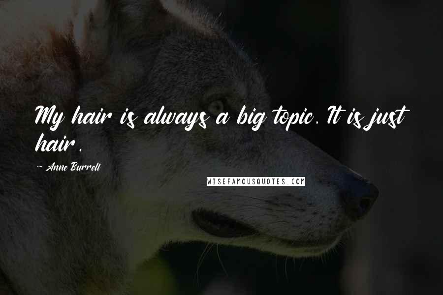 Anne Burrell Quotes: My hair is always a big topic. It is just hair.
