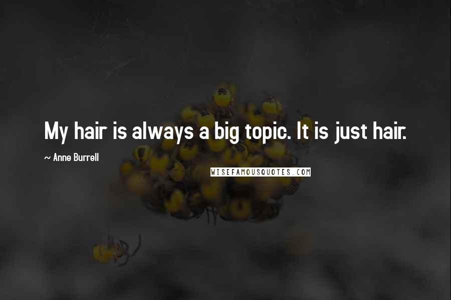 Anne Burrell Quotes: My hair is always a big topic. It is just hair.